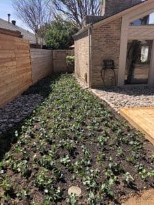 dallas_landscaping_company4