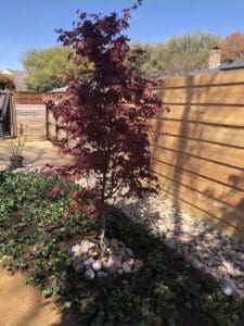 dallas_landscaping_company9