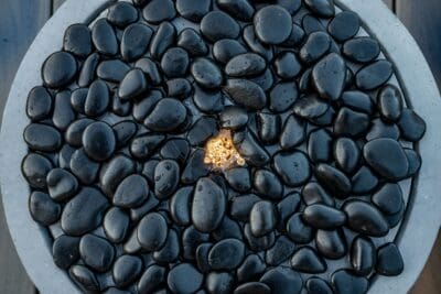 Mary Curran Court - Dallas TX Landscaping - 9