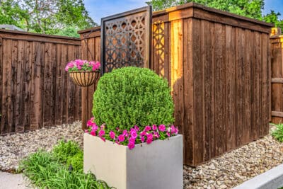 Bedrosian Marie Dr Allen TX (6