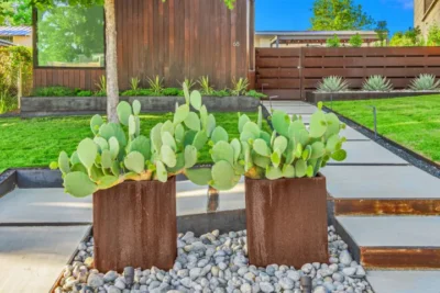 Modern front entry landscape design in Northwood Heights, Dallas, TX with steel cactus planters, gravel accents, concrete steps, turf lawn, wood fencing, and agave planting.
