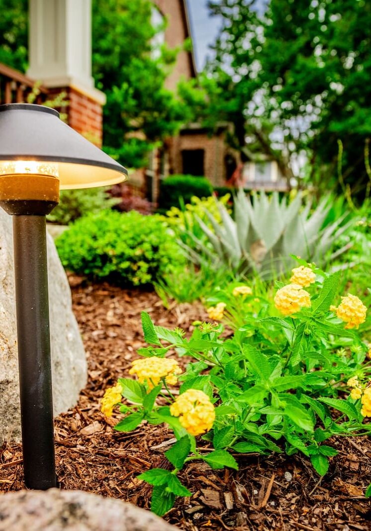 Dallas, TX Landscape Lighting1