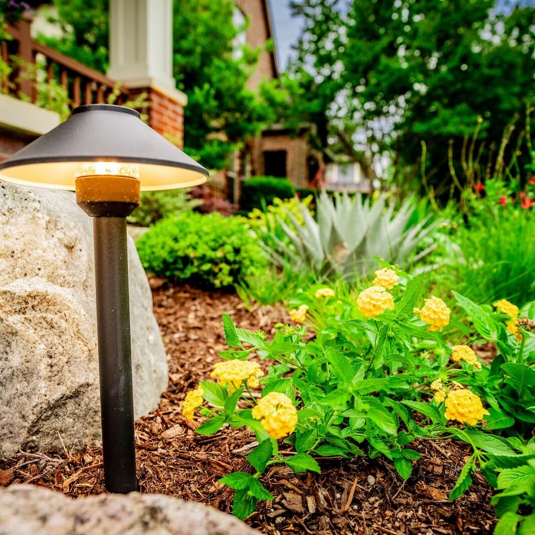 Dallas, TX Landscape Lighting1