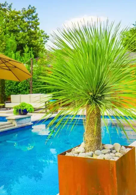 richardson-texas-pool-landscaping-680x649-portrait-3546abb194b5ba6c71843a1ad35f8f76-1mvxqkz8c36n copy